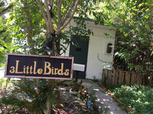 3Ｌｉｔｔｌｅ　Ｂｉｒｄｓ　okinawa！！！